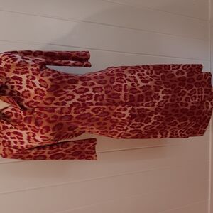 Leopard Print Long Sleeve Dress